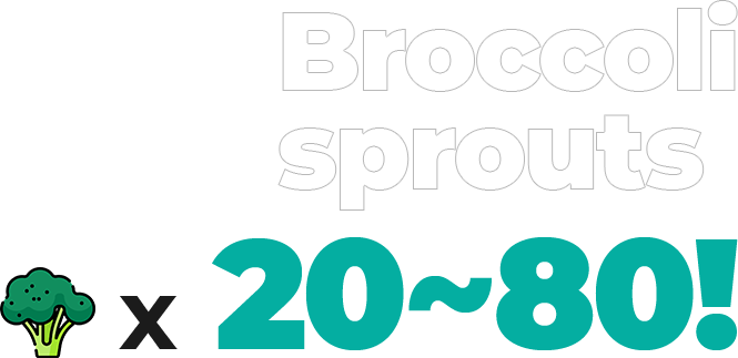 Broccoli sprouts x 20 ~ 80